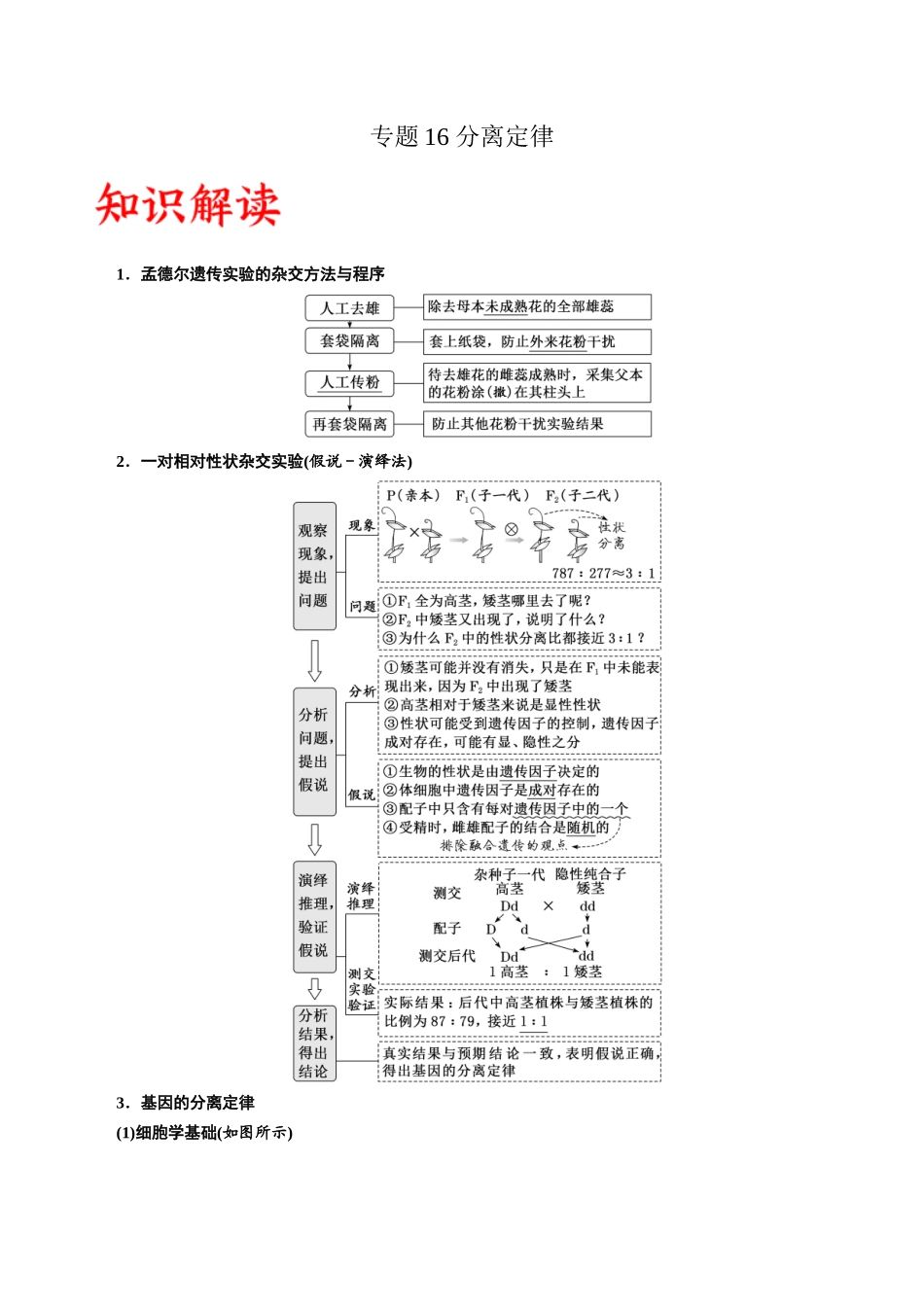 专题16 分离定律（解析版).docx_第1页