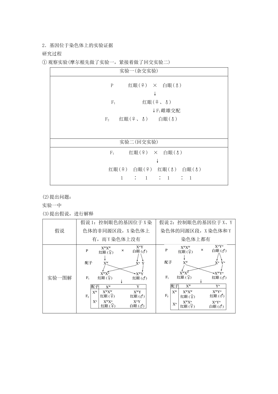 专题16 基因在染色体上、伴性遗传和人类遗传病(串讲)(原卷版).docx_第2页