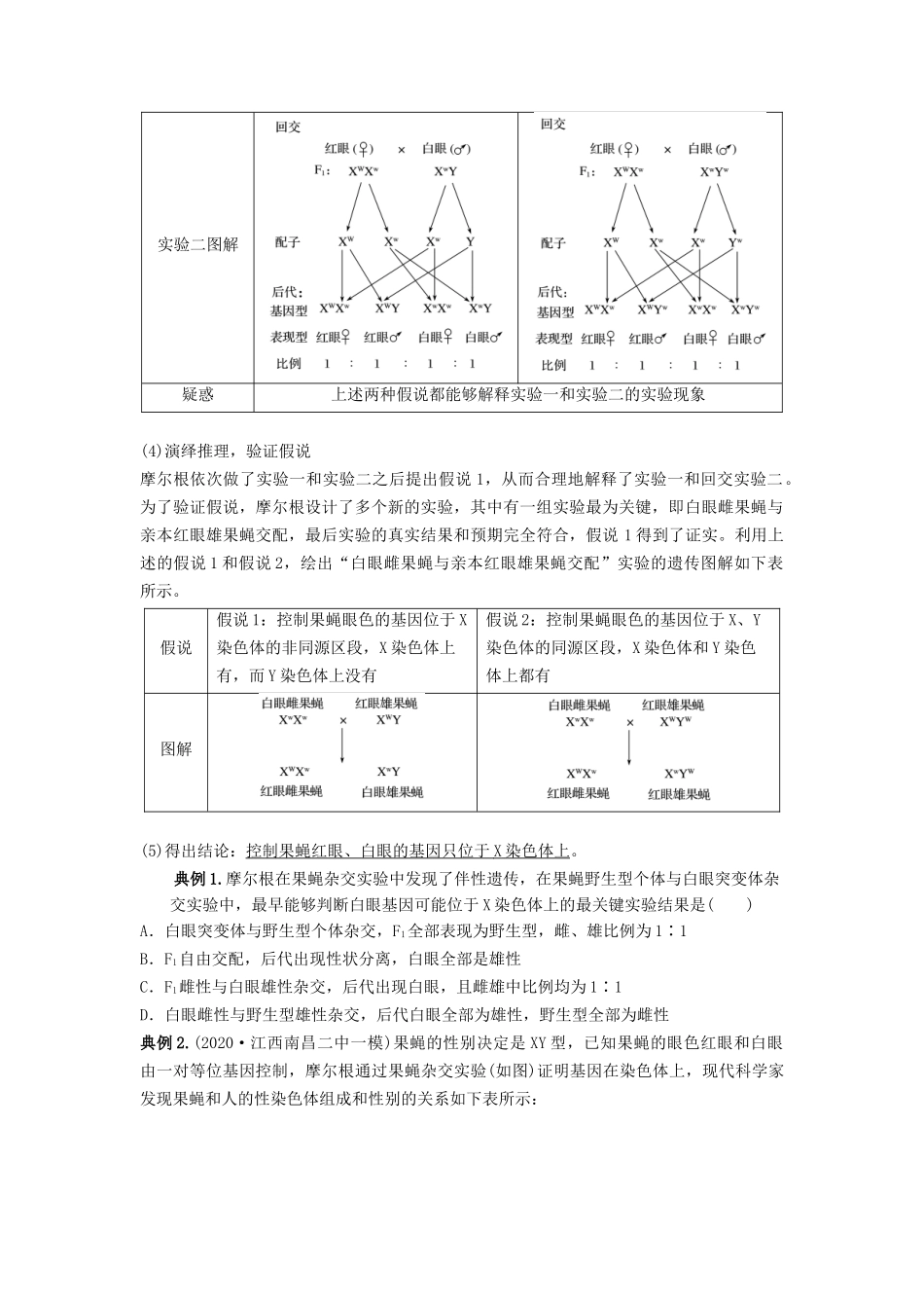 专题16 基因在染色体上、伴性遗传和人类遗传病(串讲)(原卷版).docx_第3页