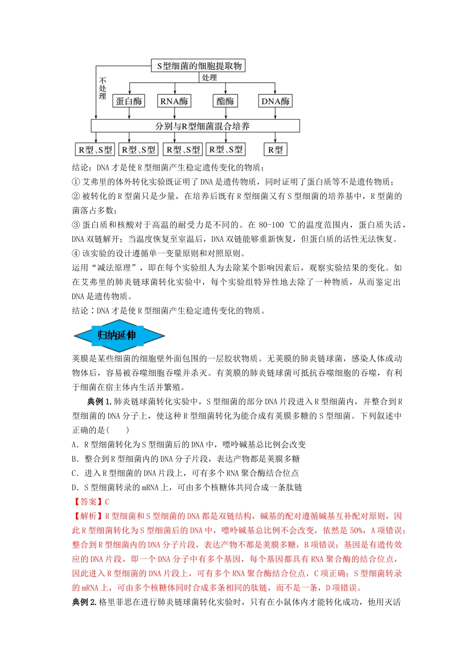 专题17 DNA是主要的遗传物质（串讲）（解析版）.docx_第2页