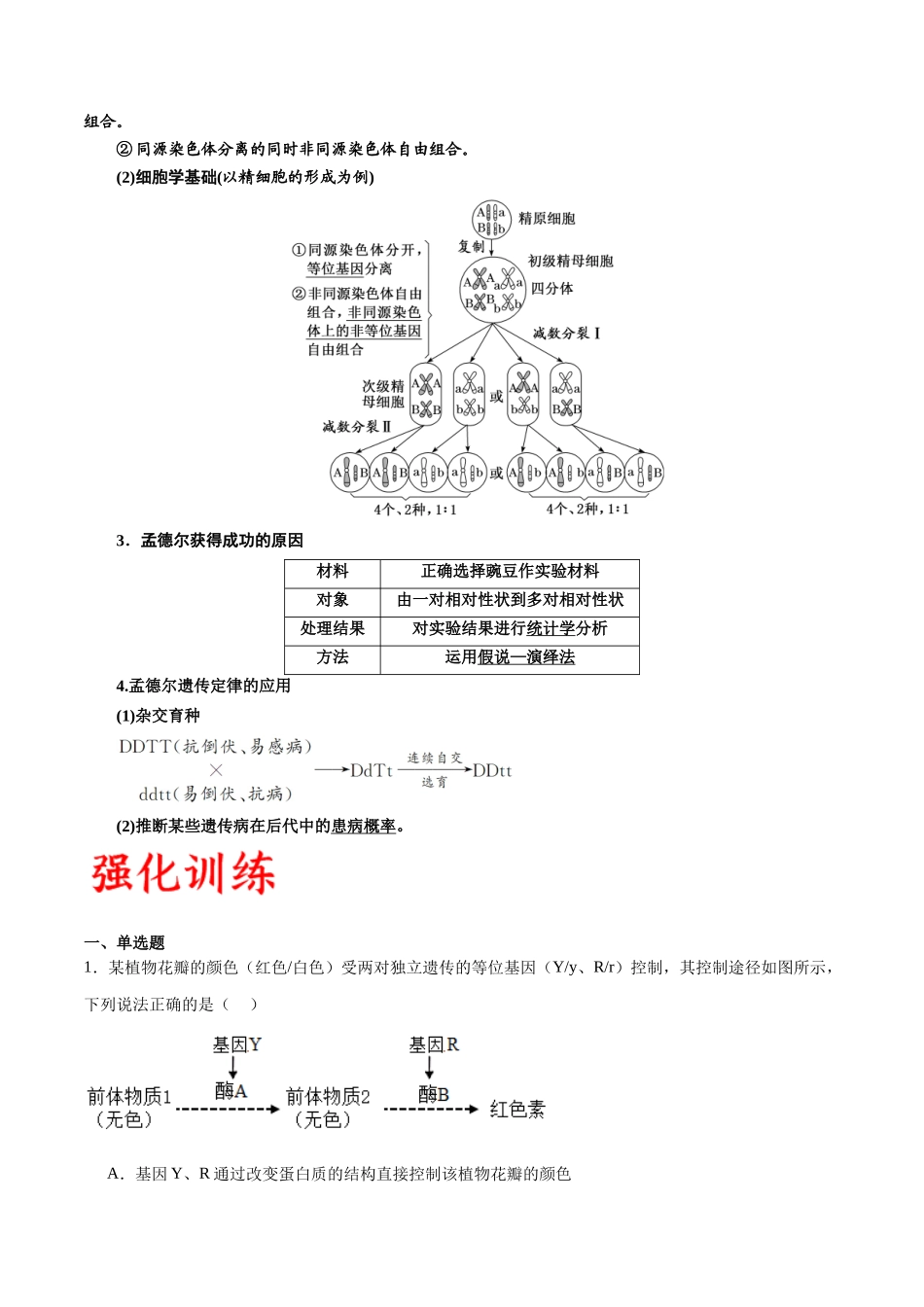 专题17 自由组合（原卷版) .docx_第2页