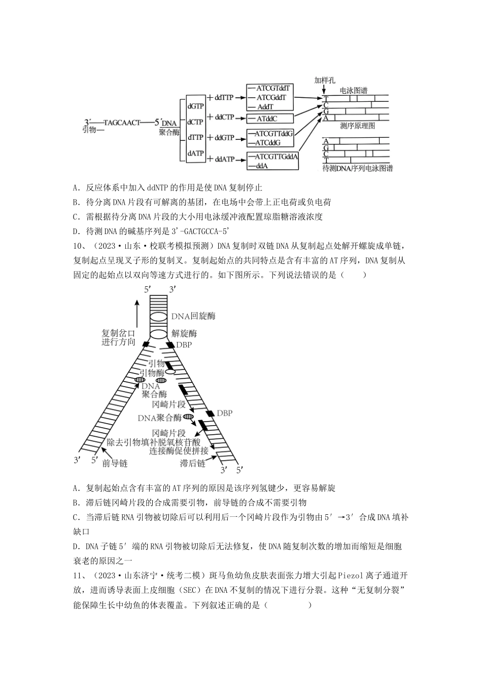 专题18 DNA分子的结构、复制及基因的本质（精练）（原卷版）.docx_第3页