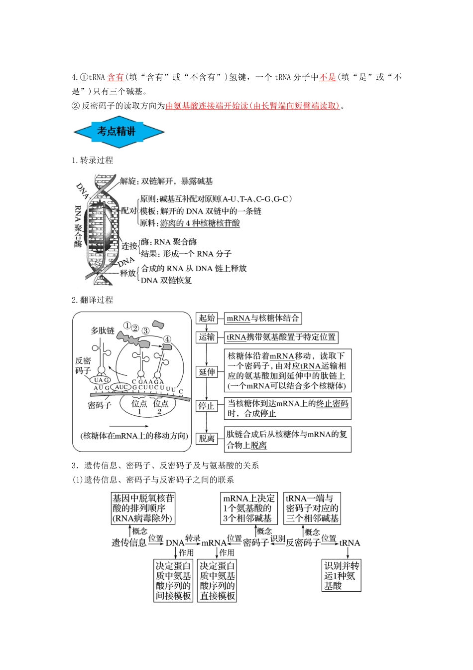 专题19 基因的表达(串讲)(解析版).docx_第2页