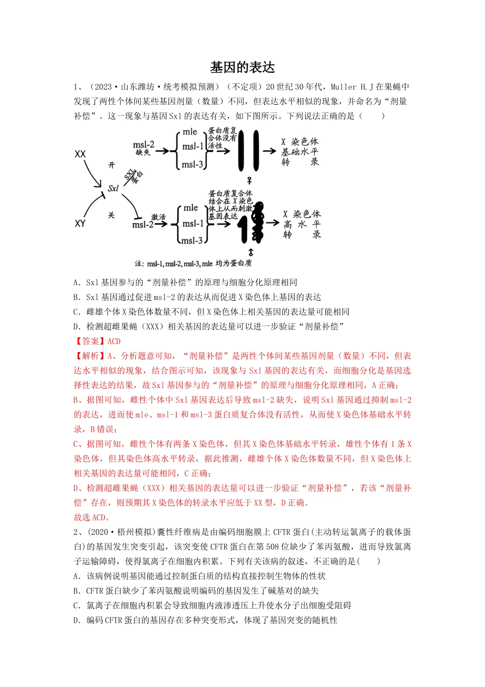专题19 基因的表达（精练）（解析版）.docx_第1页