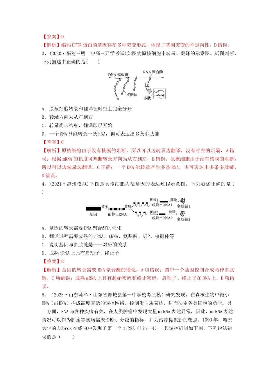 专题19 基因的表达（精练）（解析版）.docx_第2页