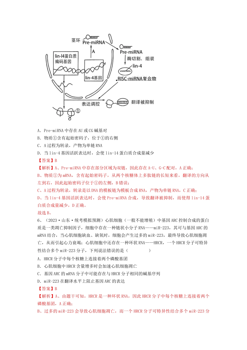 专题19 基因的表达（精练）（解析版）.docx_第3页