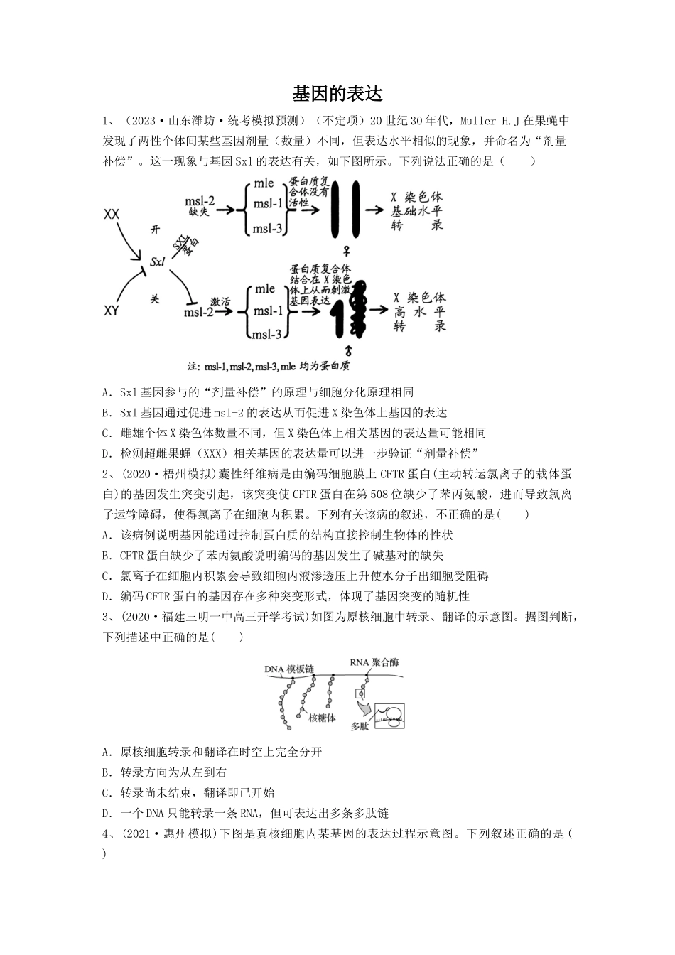 专题19 基因的表达(精练)(原卷版).docx_第1页
