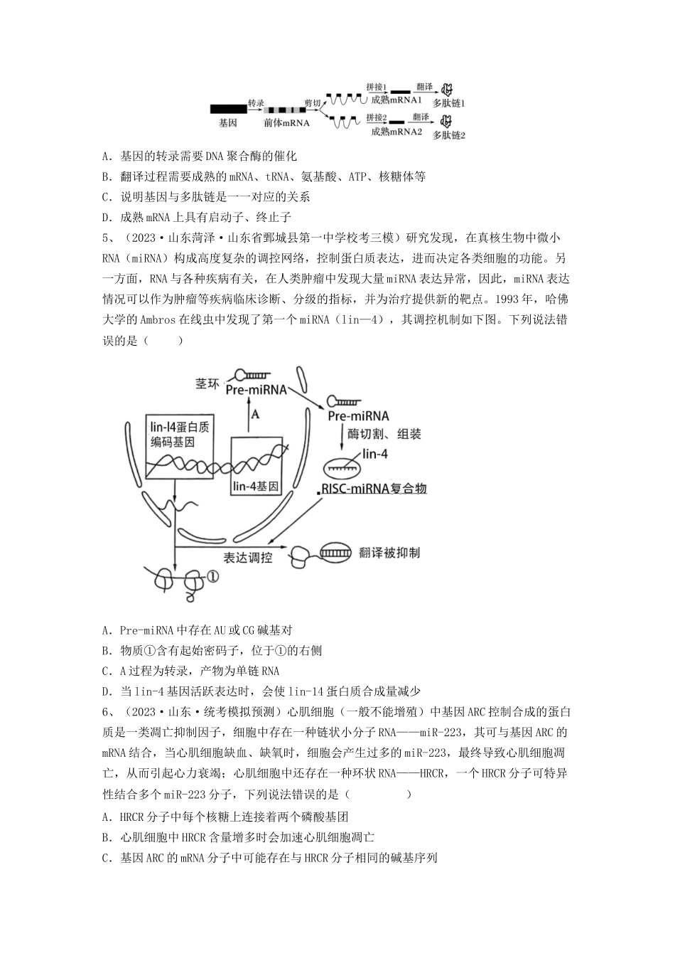 专题19 基因的表达(精练)(原卷版).docx_第2页