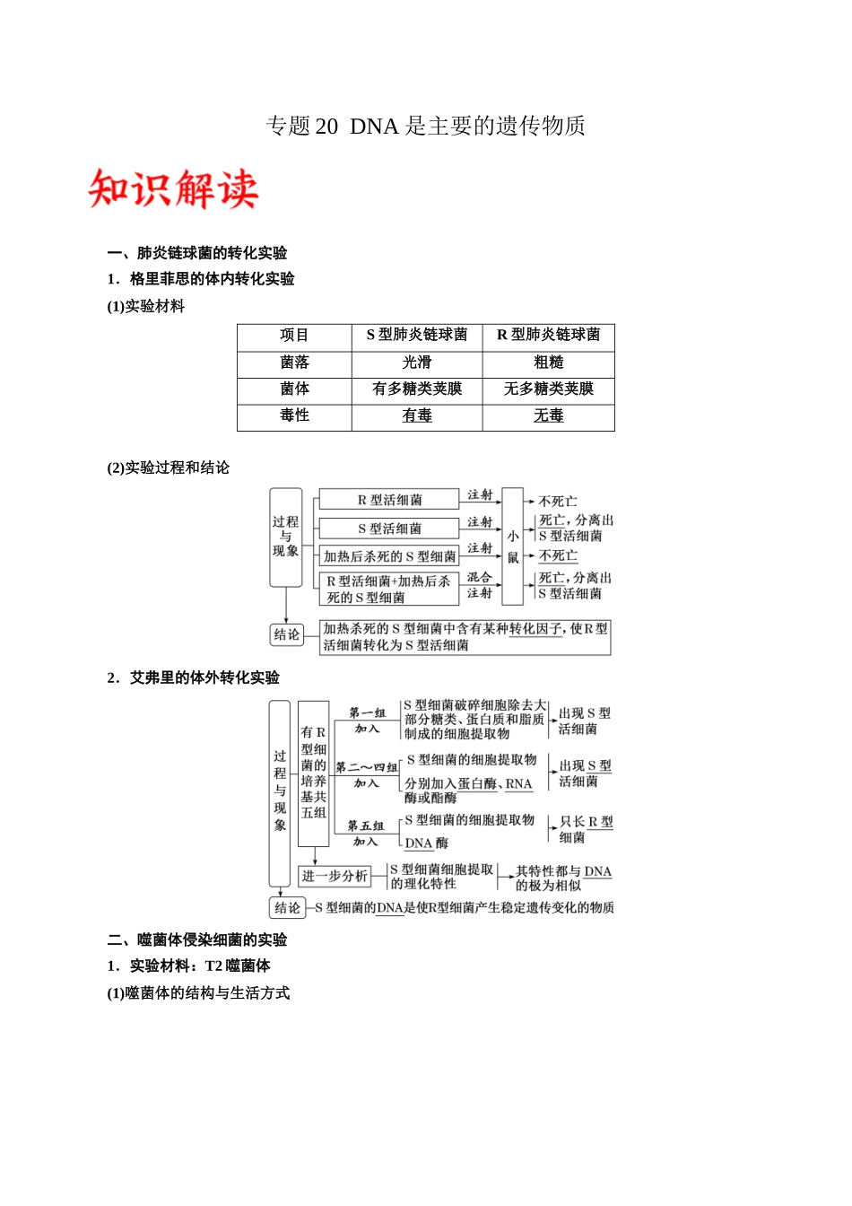 专题20 DNA是主要的遗传物质（解析版).docx_第1页
