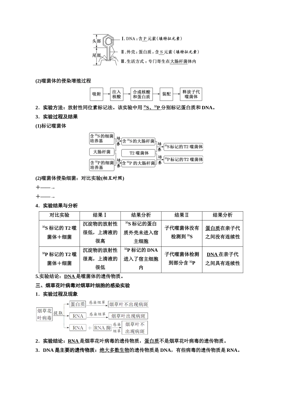 专题20 DNA是主要的遗传物质（解析版).docx_第2页
