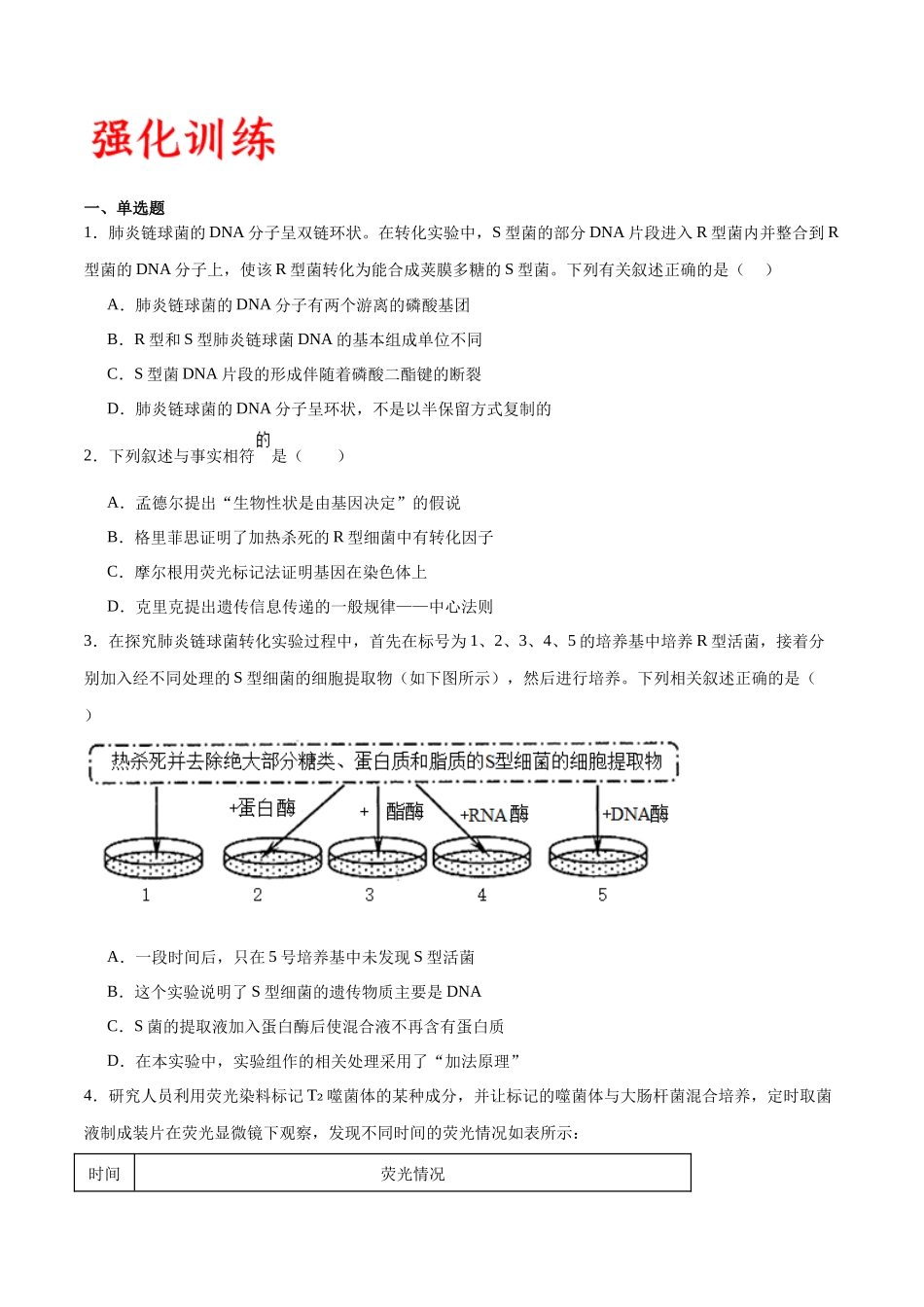 专题20 DNA是主要的遗传物质（原卷版) .docx_第3页
