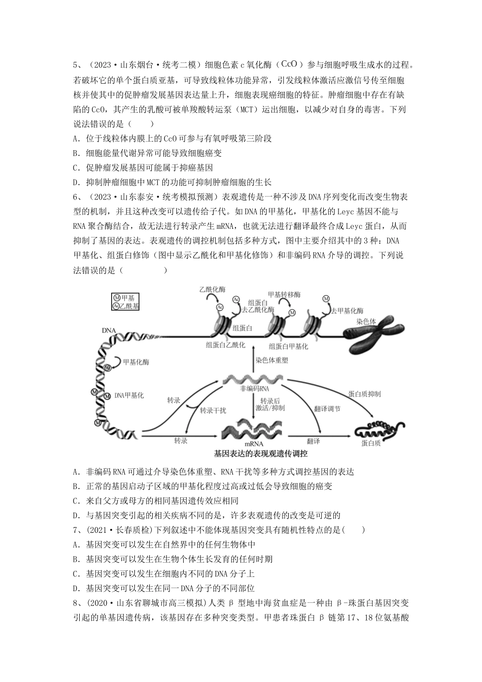 专题20 基因突变和基因重组(精练)(原卷版).docx_第2页