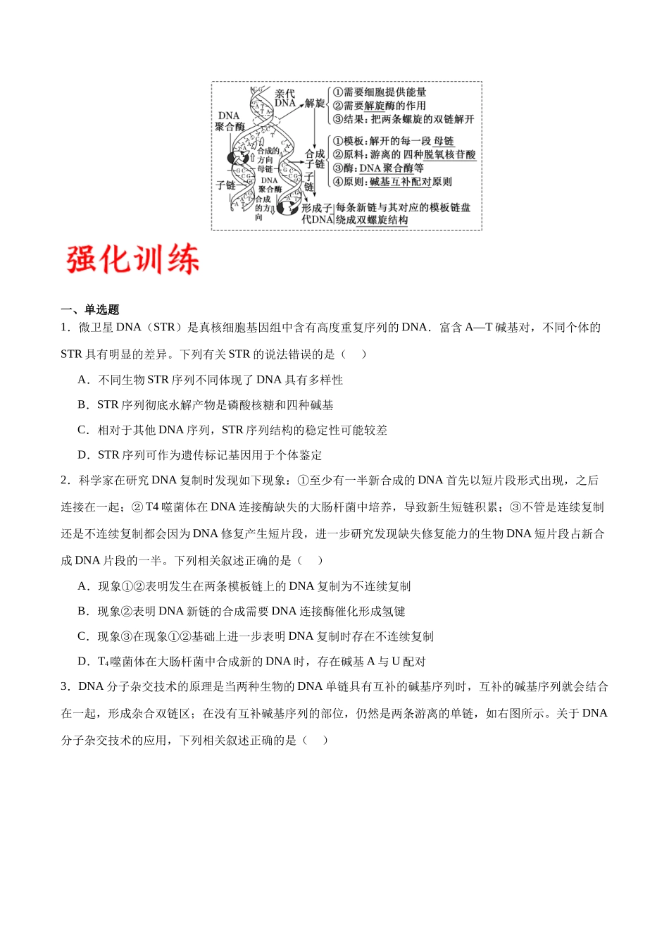 专题21 DNA分子的结构、复制与基因的本质（原卷版) .docx_第3页