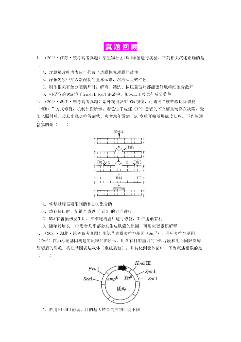 专题24 基因工程(原卷版).docx_第3页