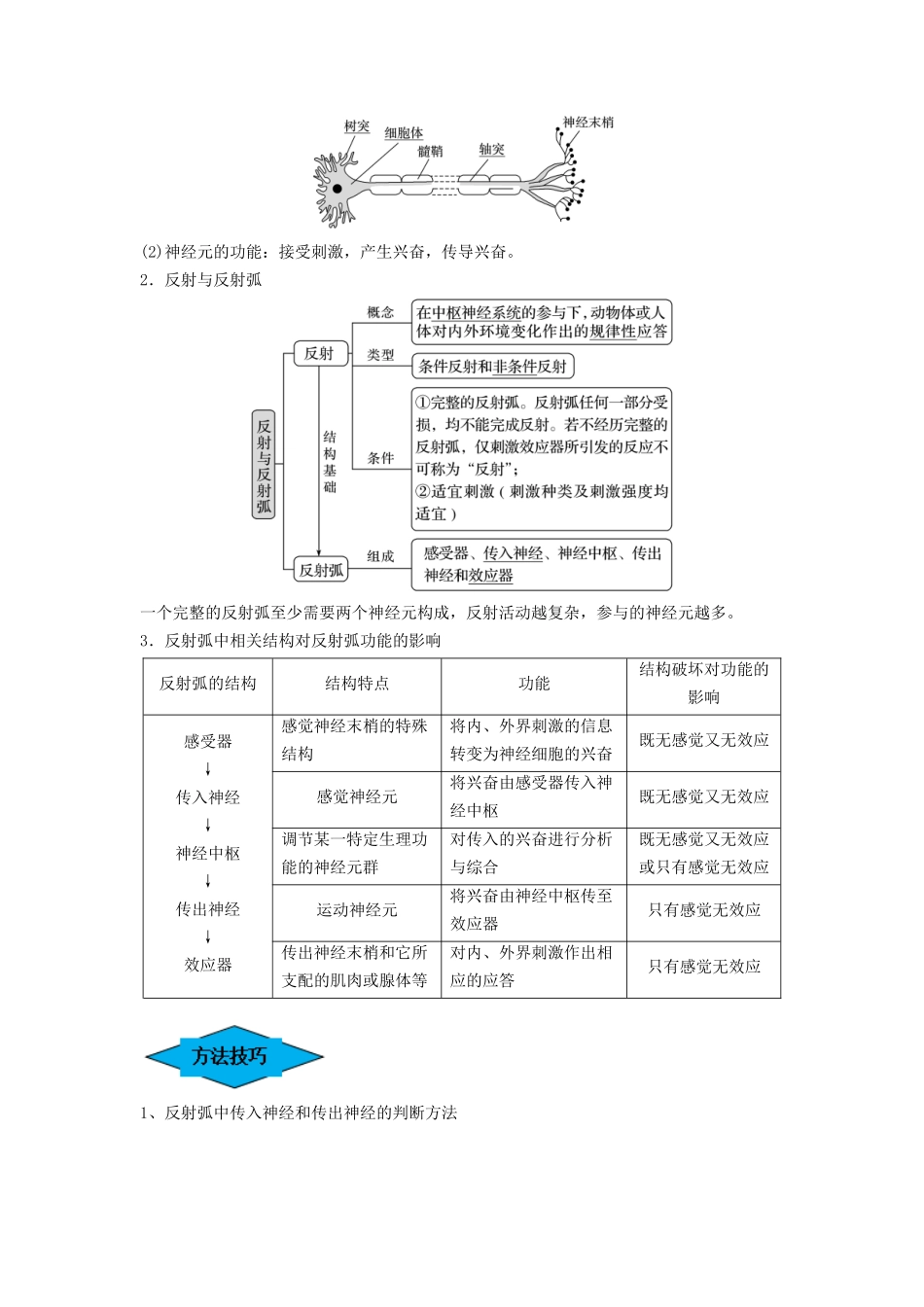 专题24 神经调节(串讲)(解析版).docx_第2页