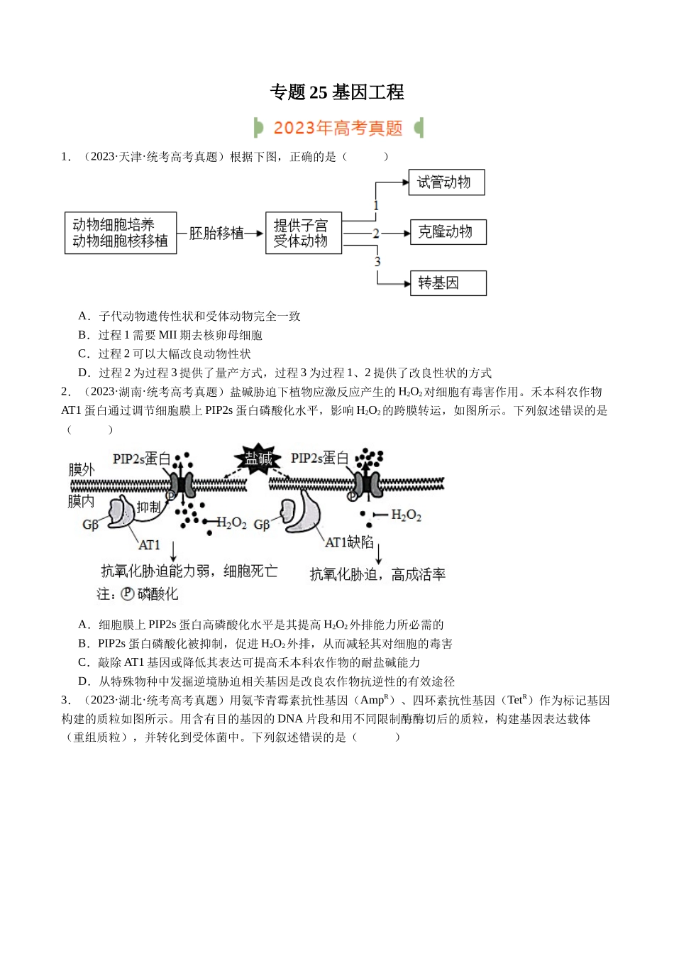 专题25 基因工程(原卷版).docx_第1页