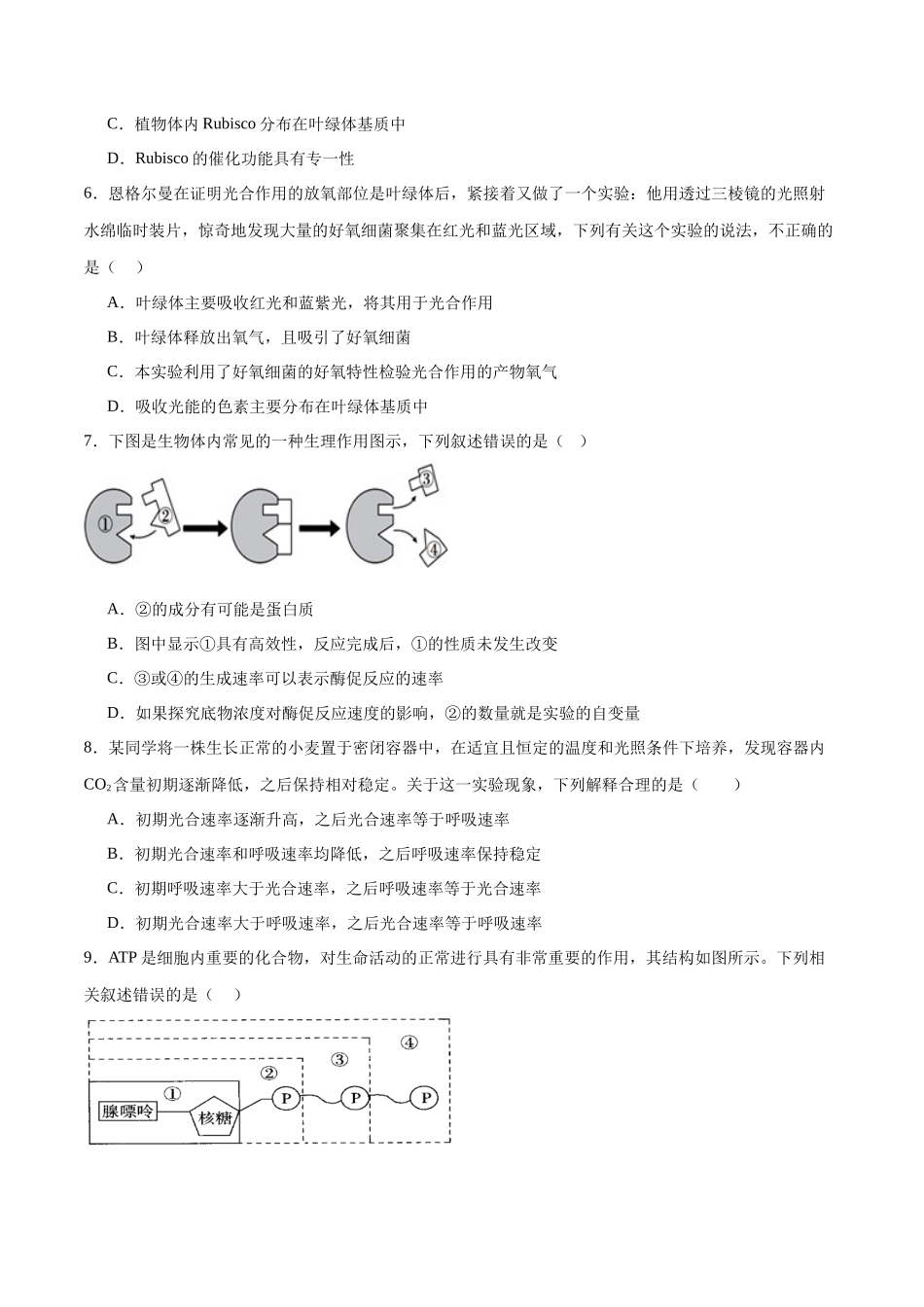 专题二 细胞的能量供应和利用（测试）（原卷版）.docx_第2页