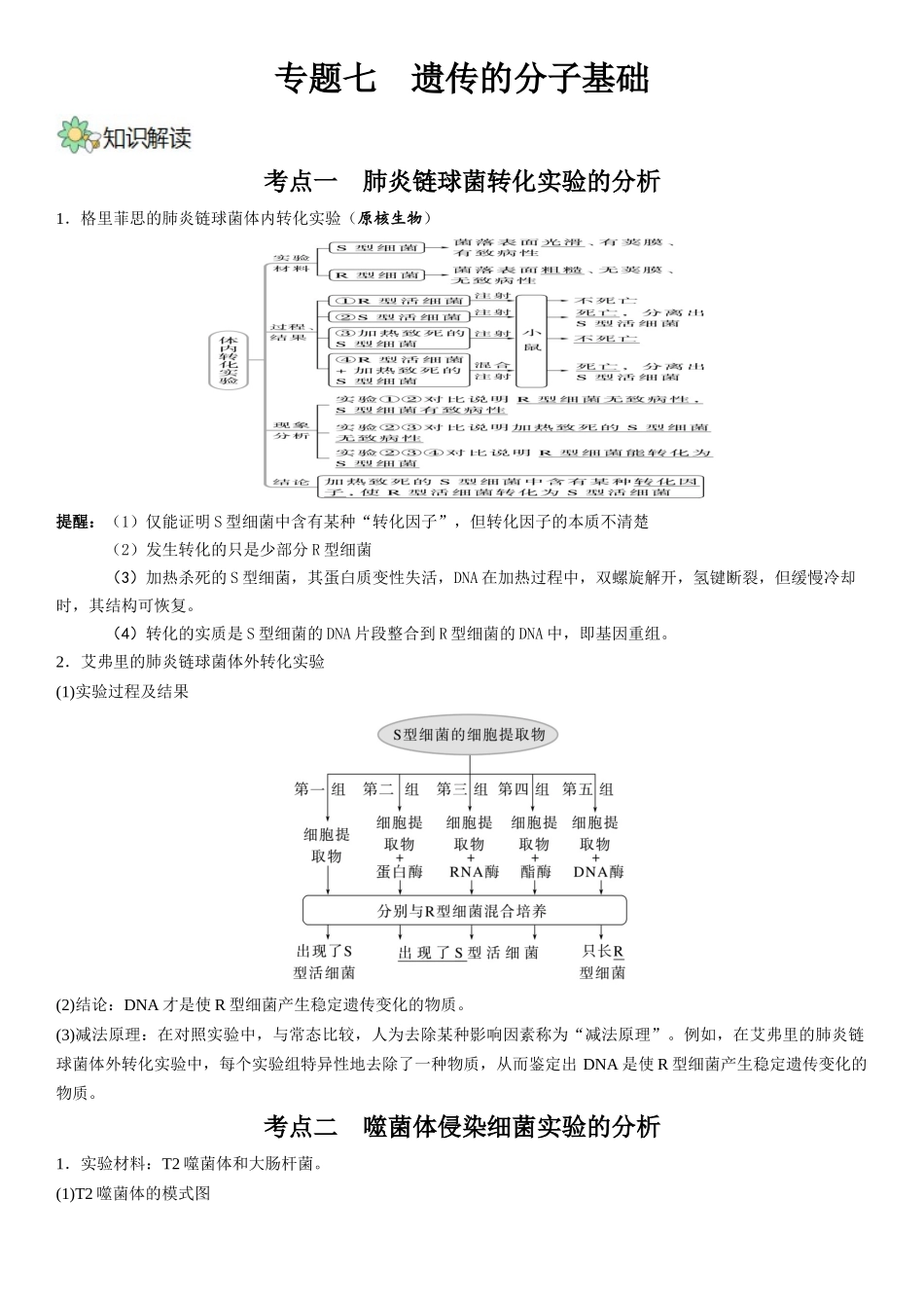 专题七 遗传分子的基础(原卷版).docx_第1页