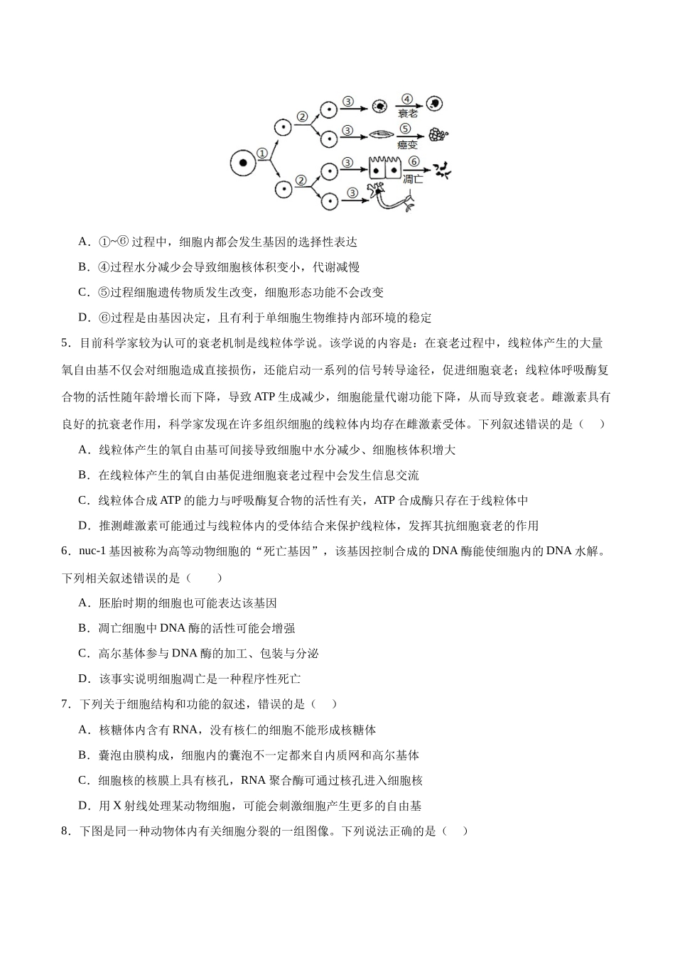专题三 细胞的生命历程(测试)(原卷版).docx_第2页
