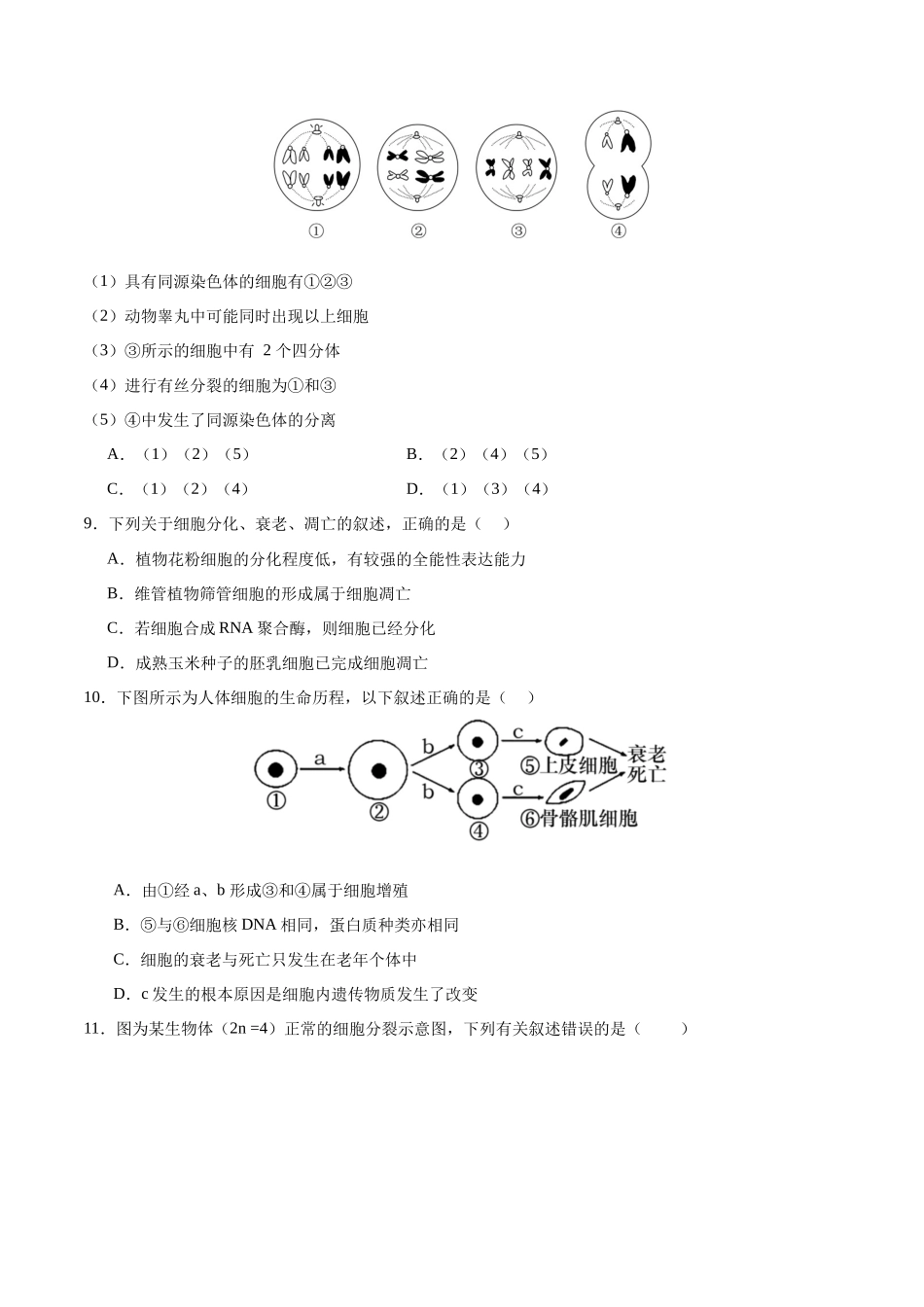 专题三 细胞的生命历程(测试)(原卷版).docx_第3页