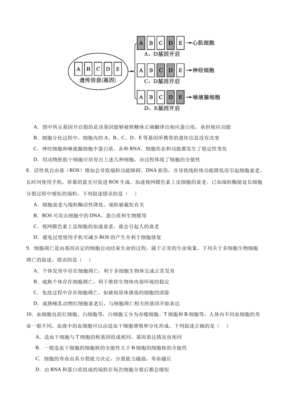 专题三 细胞的生命历程（学生版）.docx_第3页