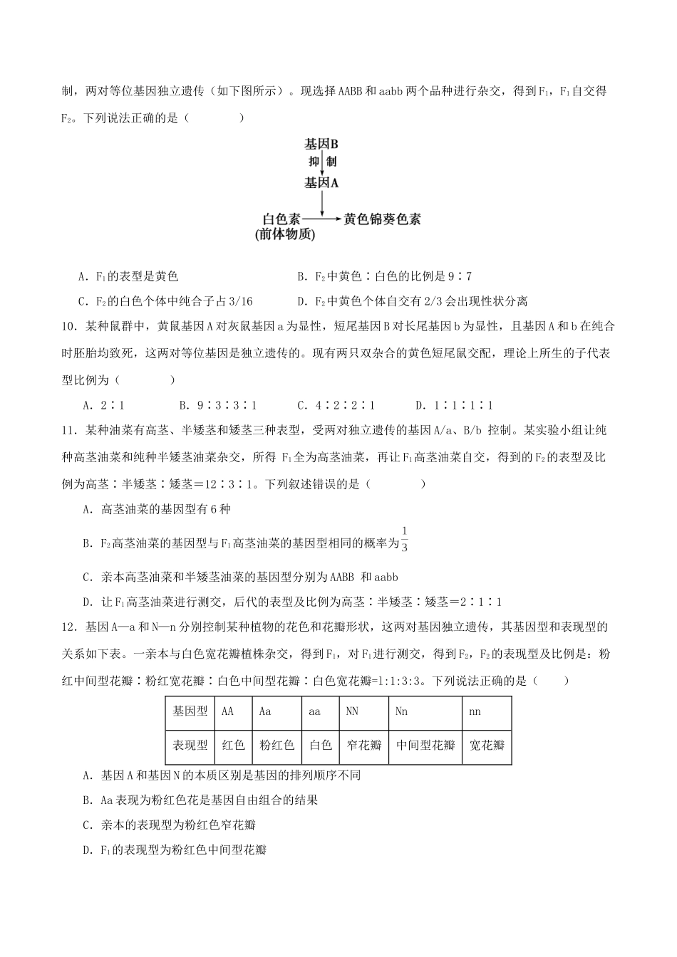 专题四 遗传的基本规律和人类遗传病(学生版).docx_第3页