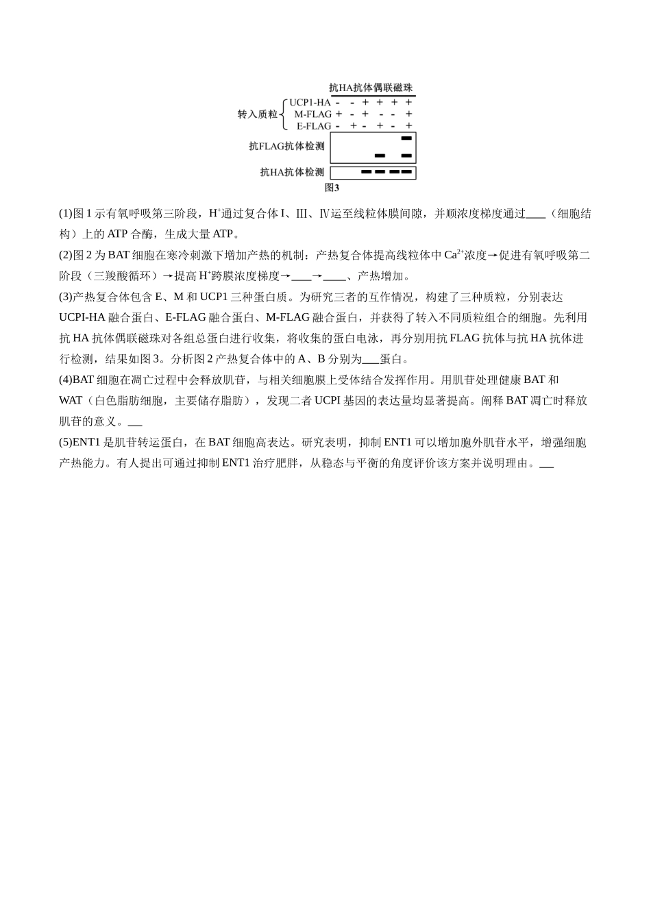 专题五 评价改进型实验——方案评析与缺陷纠错精练（学生版）.docx_第3页