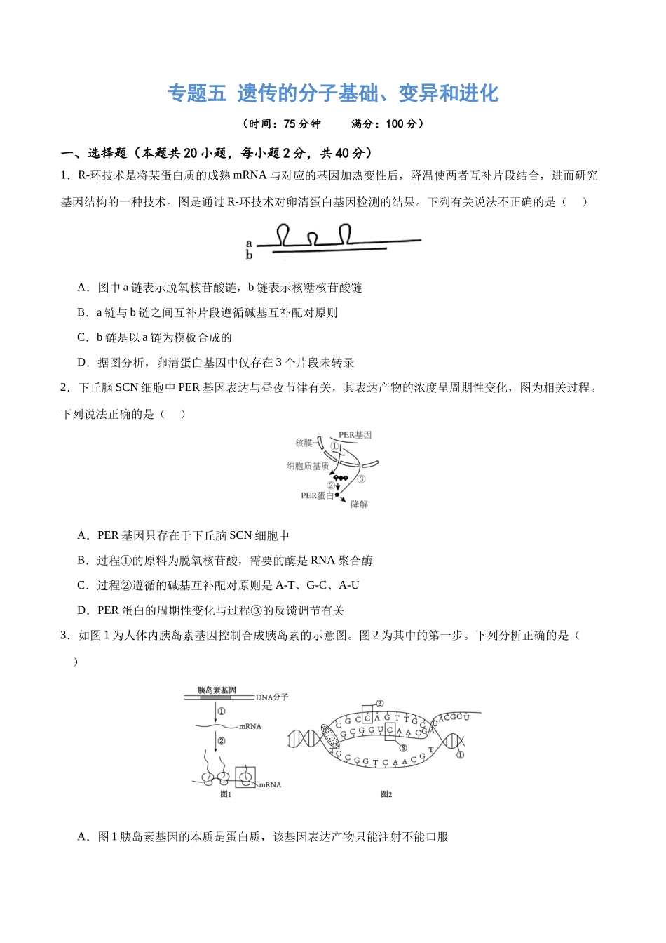 专题五 遗传的分子基础、变异和进化(测试)(原卷版).docx_第1页