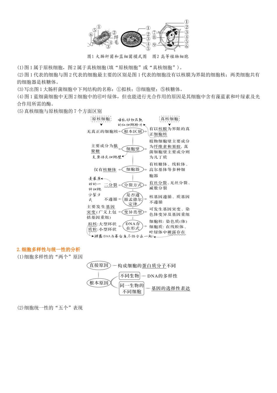 专题一 细胞及其分子组成（原卷版） .docx_第3页