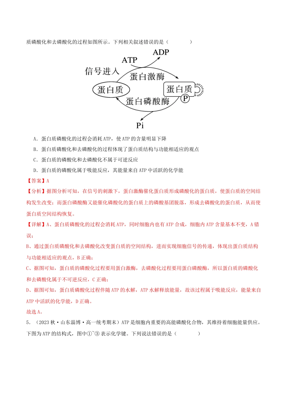 专题综合练02  细胞的能量供应和应用 (解析版).docx_第3页