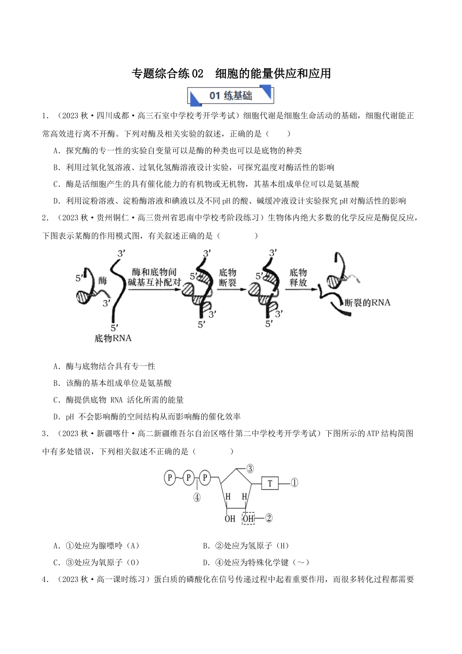专题综合练02  细胞的能量供应和应用 (原卷版).docx_第1页