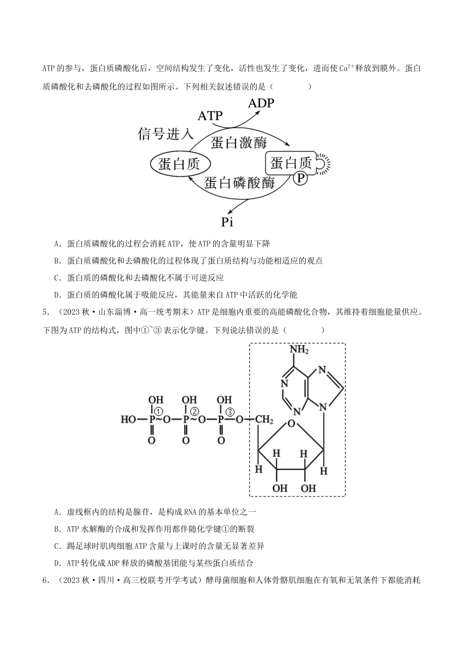 专题综合练02  细胞的能量供应和应用 (原卷版).docx_第2页
