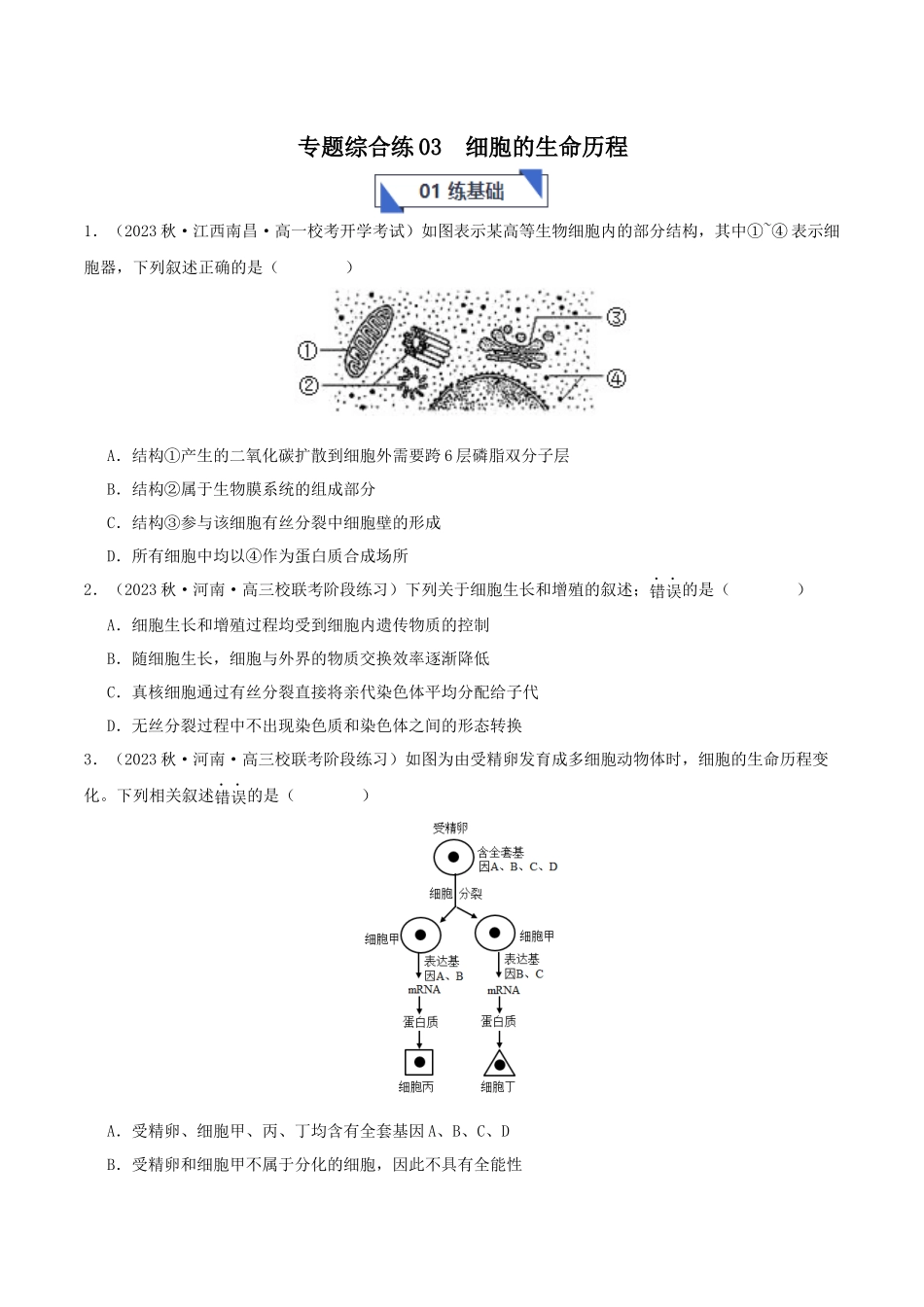 专题综合练03 细胞的生命历程 (原卷版) .docx_第1页