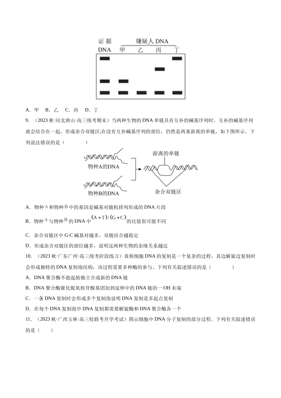 专题综合练05 遗传的分子基础 (原卷版) 本.docx_第3页