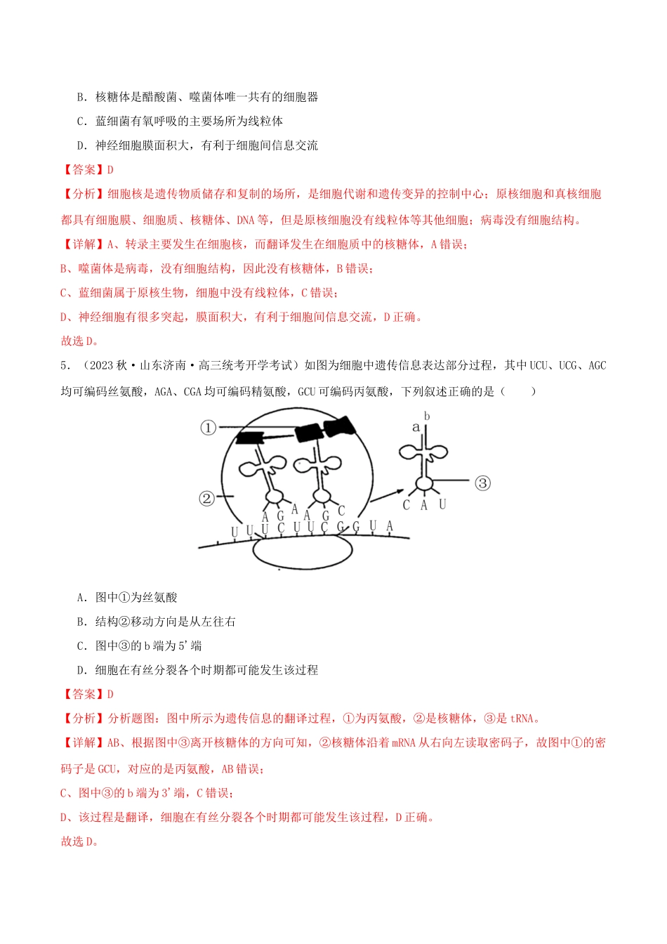专题综合练06 基因的表达 (解析版).docx_第3页