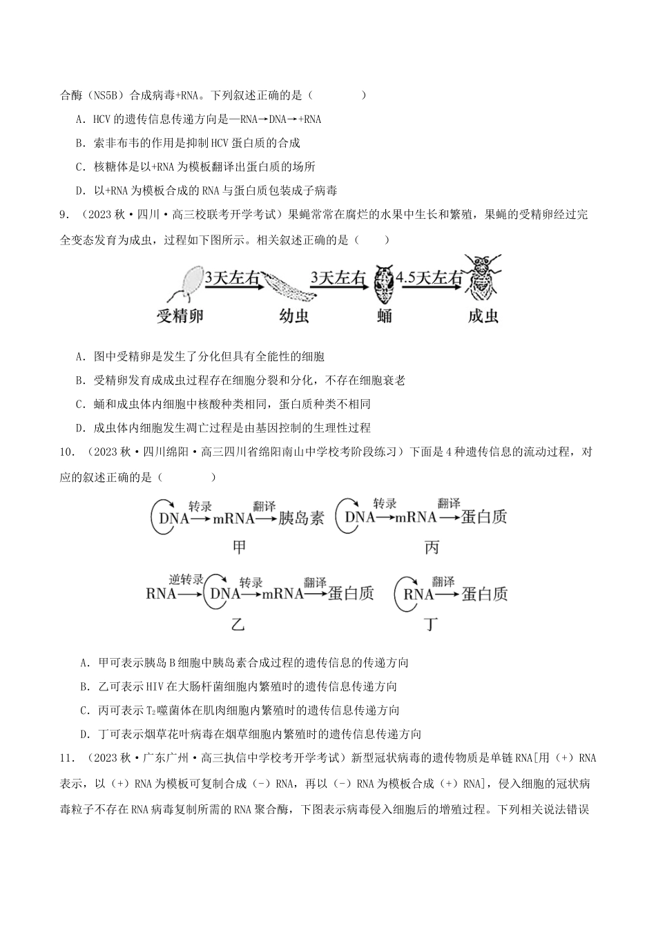 专题综合练06 基因的表达 (原卷版).docx_第3页
