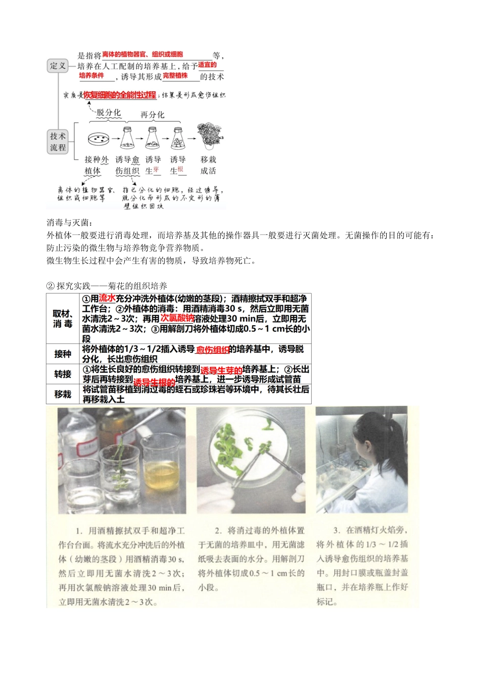 第40讲 植物细胞工程(讲义)(学生版).docx_第3页