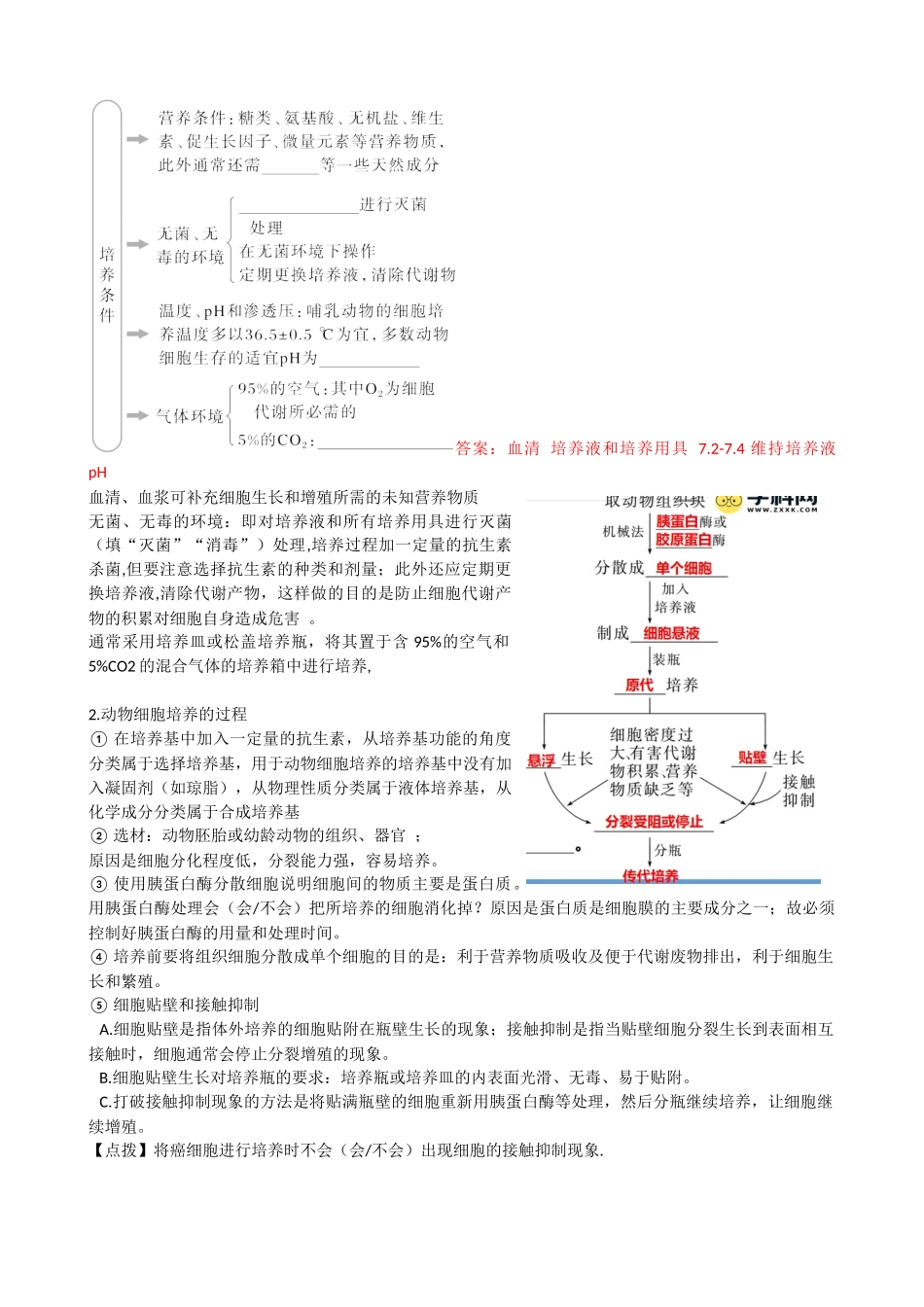 第41讲 动物细胞工程(讲义)(教师版).docx_第3页