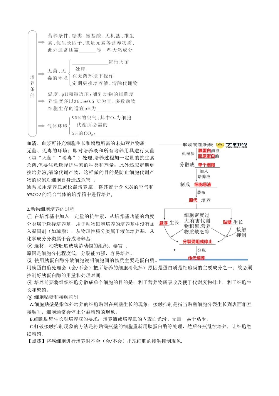第41讲 动物细胞工程(讲义)(学生版).docx_第3页