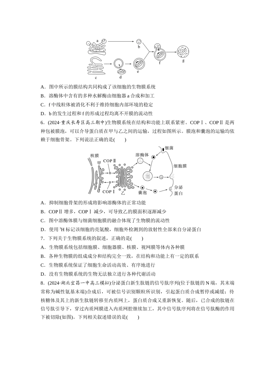 第二单元　课时练8  细胞器之间的协调配合.docx_第2页