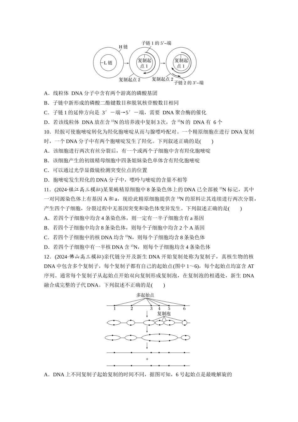 第六单元　课时练30  DNA的结构与复制.docx_第3页