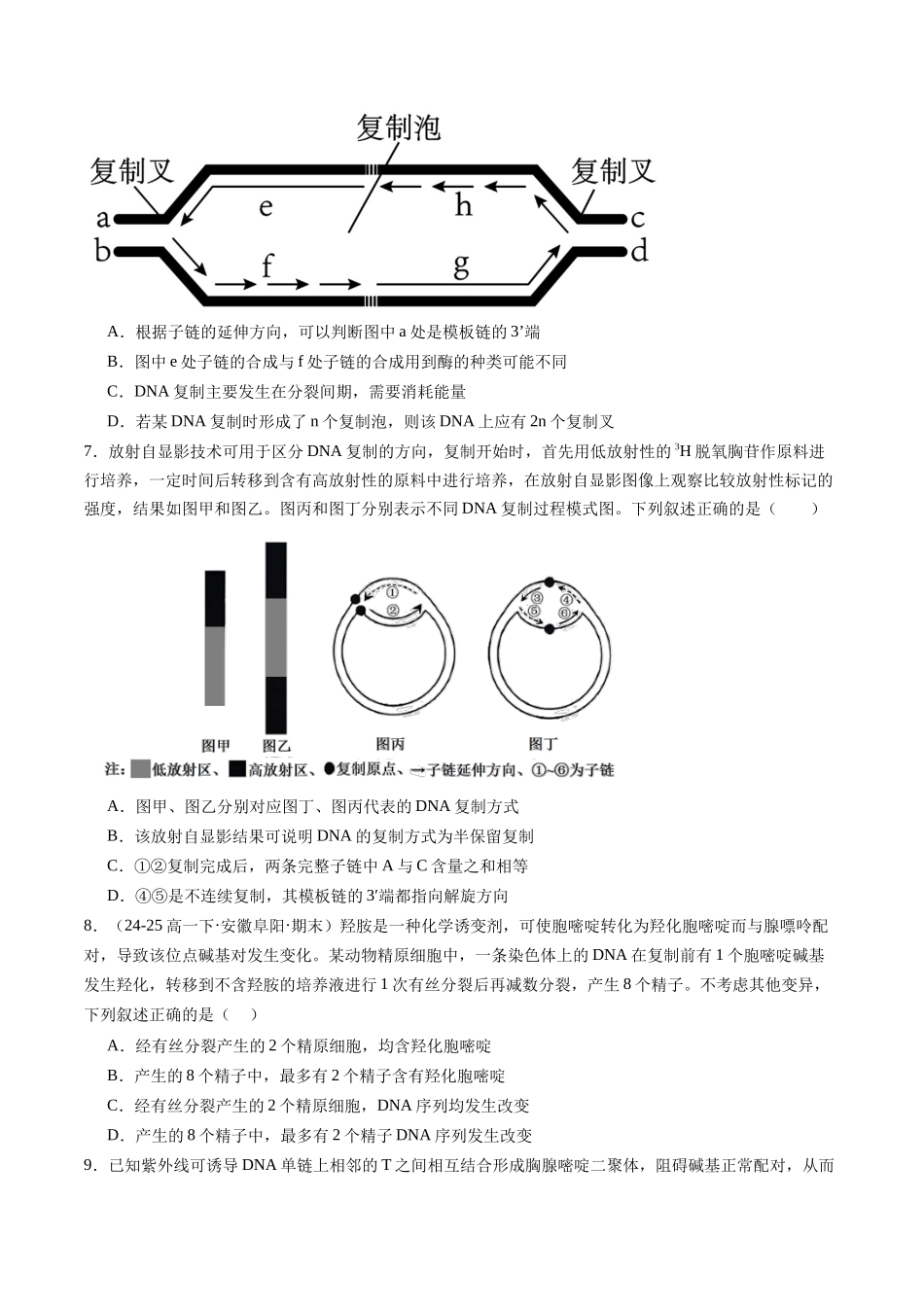 第六单元 遗传的分子基础（综合训练）（安徽专用）（学生版）.docx_第3页