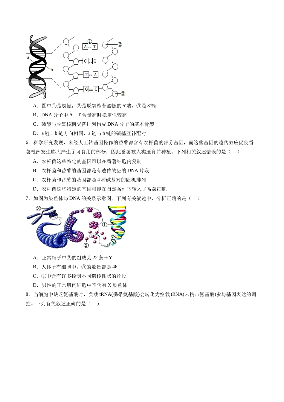 第六单元 遗传的物质基础(测试)(学生版).docx_第2页