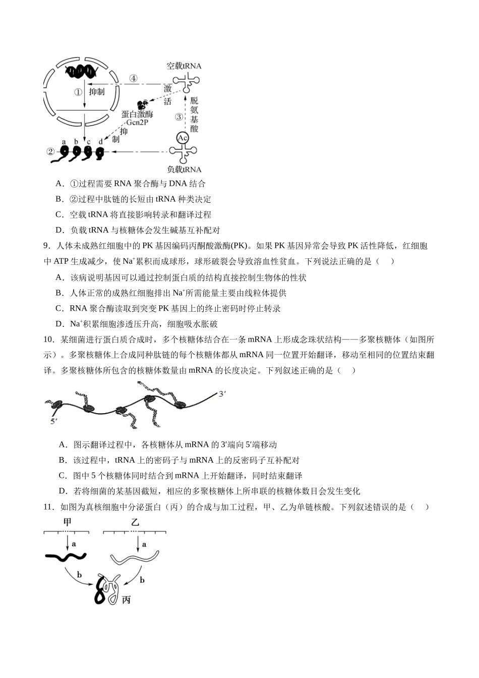 第六单元 遗传的物质基础(测试)(学生版).docx_第3页