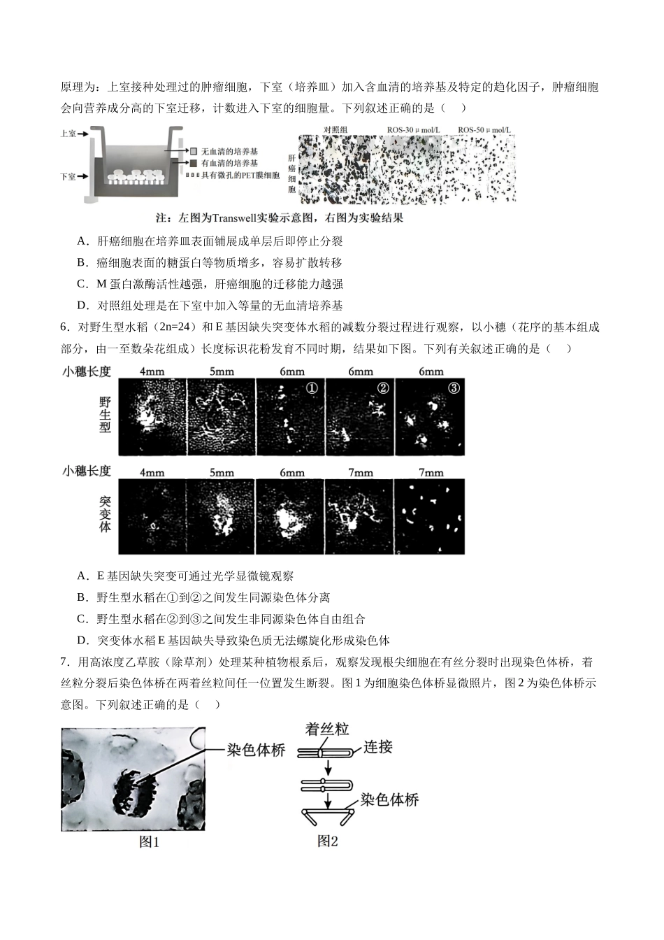 第七单元 生物的变异和进化(综合训练)(福建专用) (学生版).docx_第2页