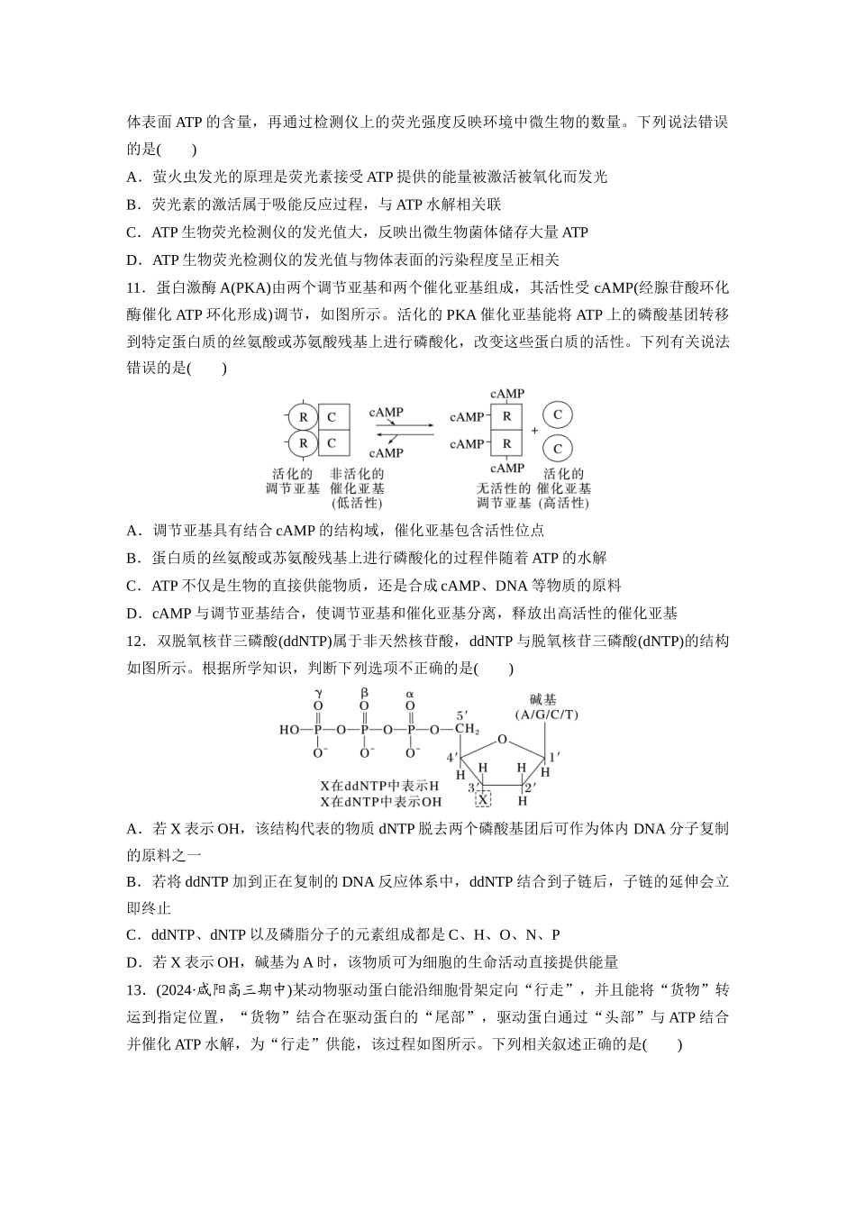 第三单元 课时练12 细胞的能量“货币”ATP.docx_第3页