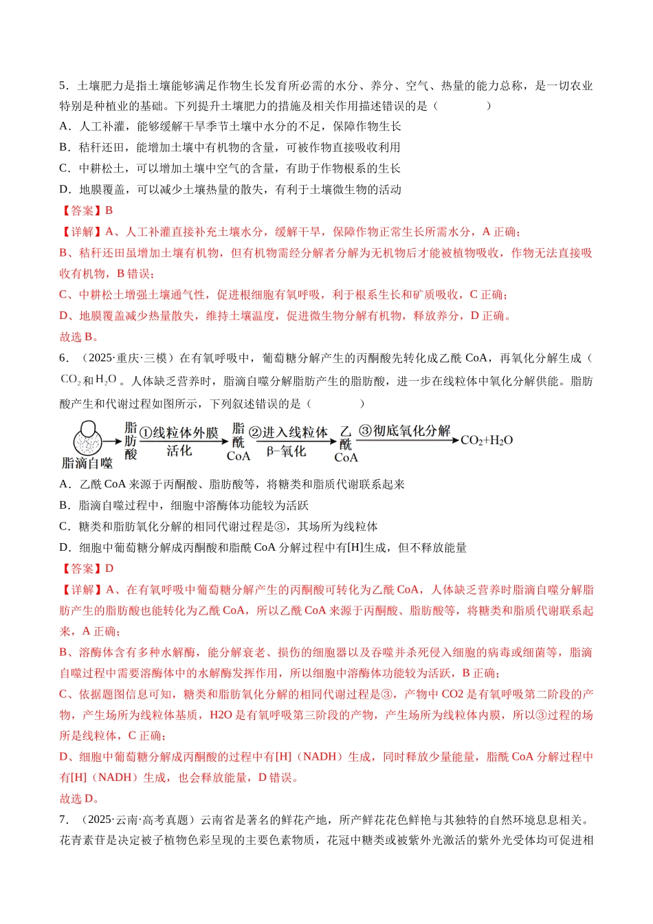 第三单元 细胞的能量供应和利用（综合训练）（湖南专用）（教师版）.docx_第3页