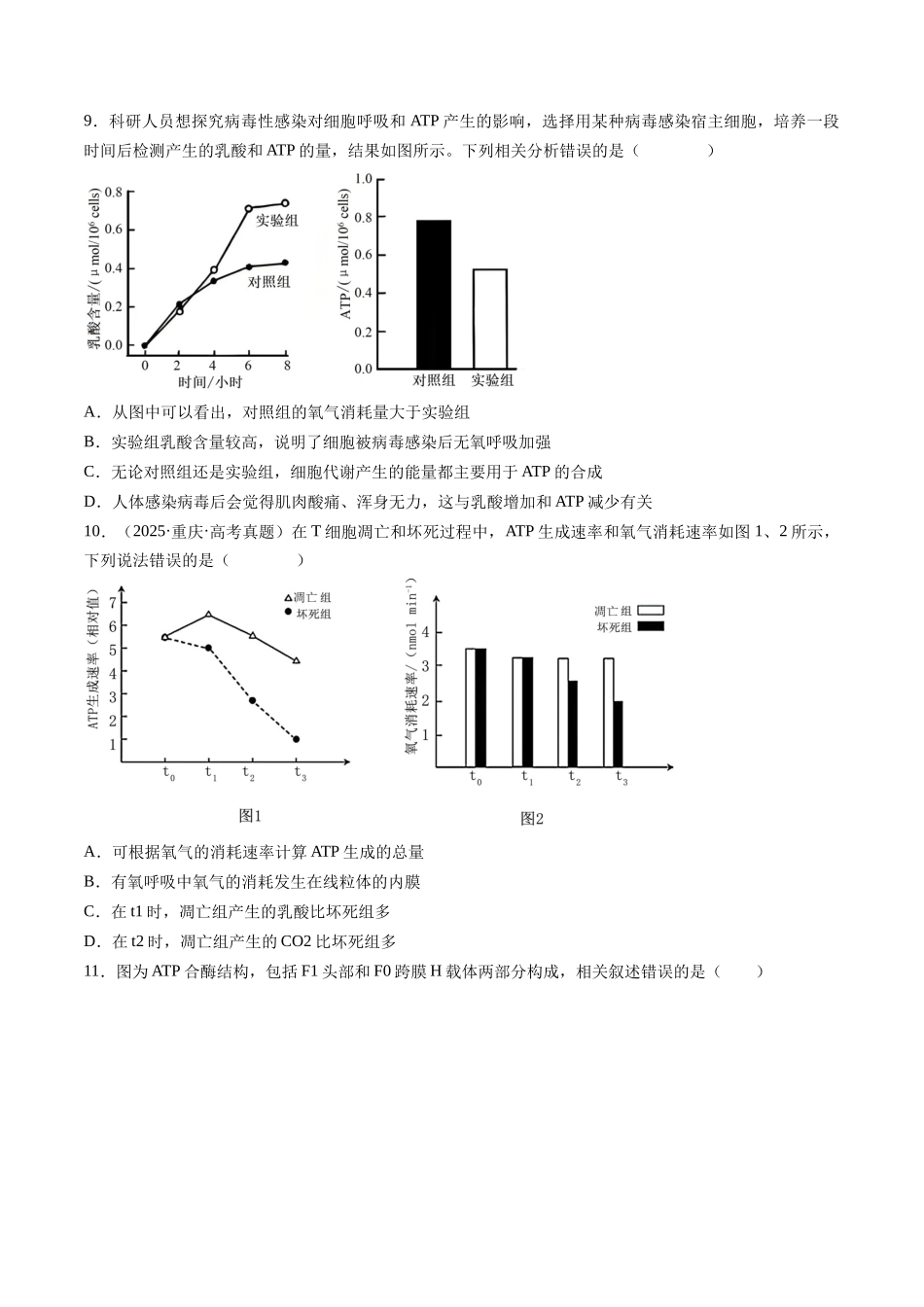 第三单元 细胞的能量供应和利用（综合训练）（湖南专用）（学生版）.docx_第3页