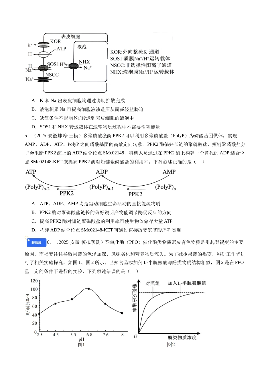 第三单元 细胞的能量供应和利用（综合训练）（学生版）（安徽专用）.docx_第2页