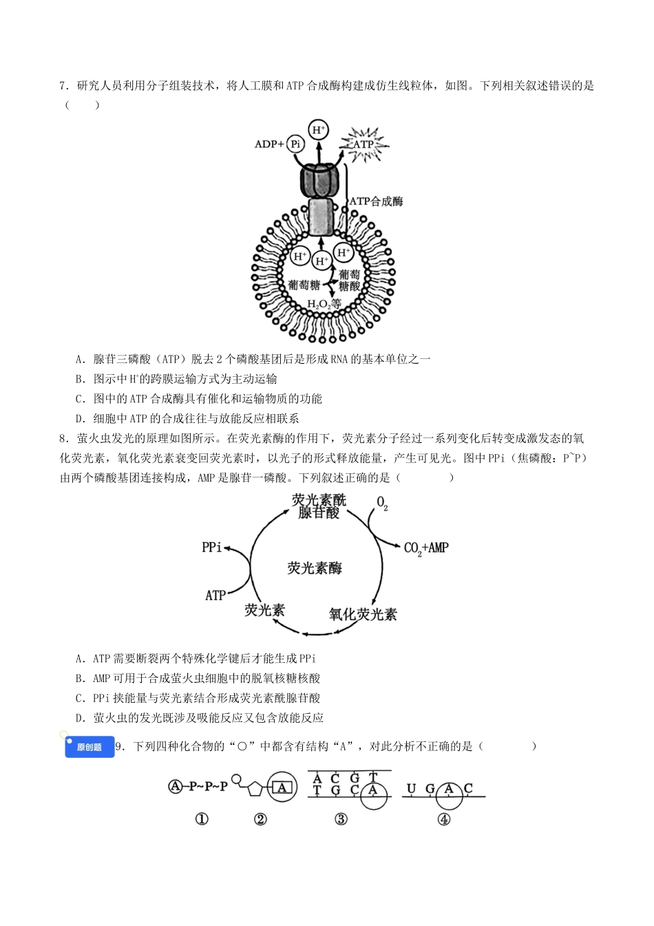 第三单元 细胞的能量供应和利用（综合训练）（学生版）（全国通用）.docx_第3页